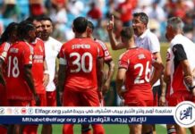 نهائي كأس السوبر البرتغالي 2025: موعد مباراة بنفيكا ضد سبورتنج 2025