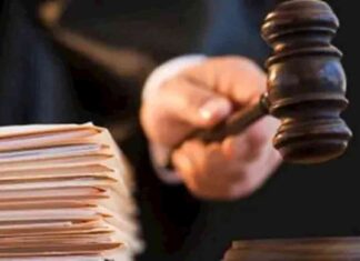 محاكمة 21 متهمًا في قضية مجموعات العمل النوعي – تفاصيل جلسة الجنايات اليوم 21