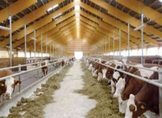 إنتاج 2574 طن من مسحوق المخلفات الحيوانية في الزراعة durante يونيو 2574-durante