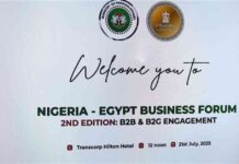 منتدى الأعمال المصري-النيجيري: تقرير حول حضور 30 رجل أعمال وتقدير وزير الخارجية والهجرة 30