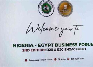 منتدى الأعمال المصري-النيجيري: تقرير حول حضور 30 رجل أعمال وتقدير وزير الخارجية والهجرة 30