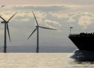 زيادة وظائف الطاقة المتجددة في المملكة المتحدة بنسبة 34% 34