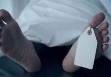 تحليل الـDNA: أهمية واستخداماته في كشف الجرائم – اليوم السابع dna