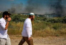 مقتل وسرقة قطيع الأغنام خلال هجوم المستوطنين على قرية في الضفة