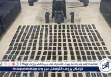 الجيش الأردني يحبط محاولة تهريب مواد مخدرة بواسطة طائرة مسيرة