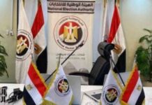 كيفية إجراء انتخابات مجلس الشيوخ – دليل شامل