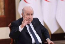 تبون: مساعدة مالية متاحة ورفض لـ فاغنر على حدود الجزائر