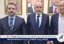 جهود الشيباني والصفدي وباراك لتثبيت وقف إطلاق النار في السويداء