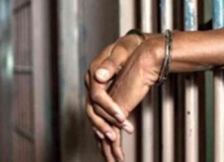 محاكمة مدرب كونغ فو تعدى على طالبة في الهرم