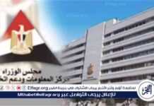 مصر: وجهة جاذبة لتجميع السيارات بفضل الاستقرار الاقتصادي والسياسات الصناعية