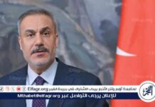 تطورات الأوضاع في السويداء السورية: فيدان يبحث مع الشيباني وباراك