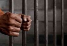 تحقيقات بالنصب على المواطنين بقطع أثرية في النزهة