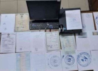 تحقيق: إنشاء كيان تعليمي وهمي للنصب ومنح شهادات مزورة – اليوم السابع