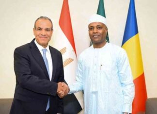 تأكيد وزير الخارجية للدعم الكامل لمشاريع التنمية في تشاد – مصر المستقلة
