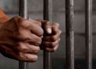 محاكمة عاطلين بتهمة سرقة مخزن بأسلوب التسلق في الشرابية