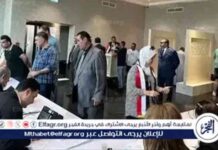 بدء التصويت بانتخابات مجلس الشيوخ للمصريين بنيوزيلندا