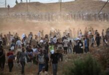 مقارنة بين الولايات المتحدة والعالم