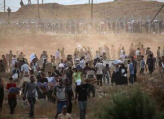 مقارنة بين الولايات المتحدة والعالم