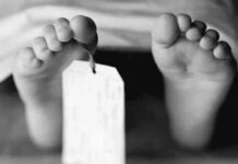 كل ما تحتاج معرفته عن جريمة بوهة شطانوف