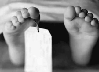 كل ما تحتاج معرفته عن جريمة بوهة شطانوف