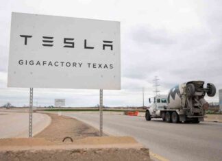 مساعدة الشركات الصغيرة في بناء إمبراطورية ماسك. فواتيرهم الغير مدفوعة تصل إلى الملايين – مصر المستقلة