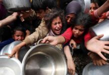 مشروع توريد المياه الأكبر في الإمارات من مصر إلى جنوب غزة – مصر المستقلة