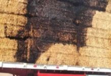 كيفية التعامل مع حريق سيارة محملة بالتبن في السويس