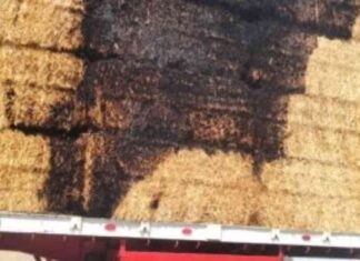 كيفية التعامل مع حريق سيارة محملة بالتبن في السويس