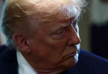 تعهد ترامب بحل الخلاف حول سد النهضة الإثيوبي الكبير: أمل لمصر – مصر المستقلة