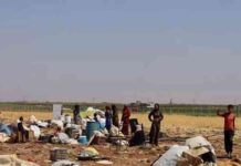 تداعيات اتفاق التهدئة في السويداء: إعدامات ونزوح