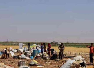 تداعيات اتفاق التهدئة في السويداء: إعدامات ونزوح