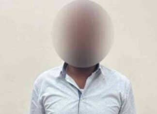 تحرير مخالفة لسائق بالجيزة: تفاصيل وفيديو