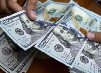 سعر الدولار اليوم مقابل الجنيه المصري بتاريخ 11 أغسطس: تحديث وتراجع 11