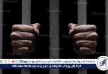 عقوبة السجن لمدة 15 عامًا لشابين بتهمة خطف وتعذيب وهتك عرض شاب وتصويره في القليوبية 15