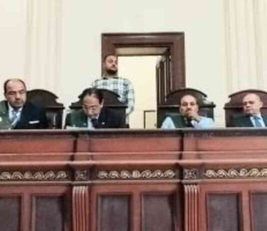 عاطل يحكم عليه بالسجن 15 عامًا بسبب تجارته لـ 275 طربة حشيش في الإسكندرية 15-275
