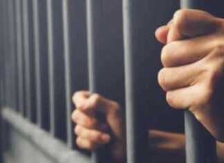 السجن المشدد لمدة 15 سنة لعامل بتهمة إحراز سلاح ناري بدون ترخيص في سوهاج 15