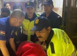 نقل مسنة 170 كيلو بحدائق القبة: تدخل الحماية المدنية 170