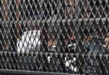 تحقيق مع 18 متهمًا بتسول الأطفال في الشيخ زايد 18