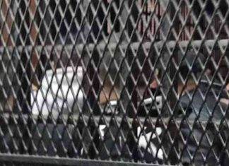 تحقيق مع 18 متهمًا بتسول الأطفال في الشيخ زايد 18