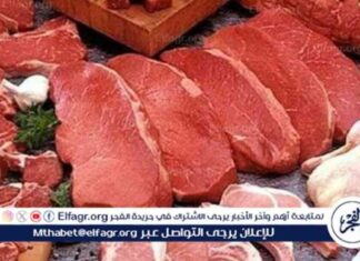 أسعار اللحوم البلدي والكندوز في قنا يوم الاثنين 18-8-2025 18-8-2025