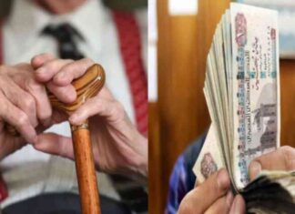 كيفية الاستعلام عن معاشات شهر سبتمبر 2025 بالرقم القومي 2025