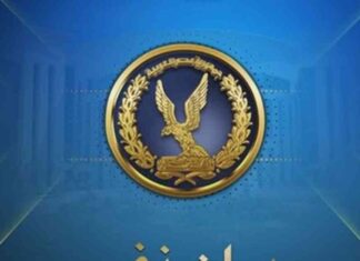 تعزيز إجراءات الأمن لانتخابات مجلس الشيوخ في مصر عام 2025 2025