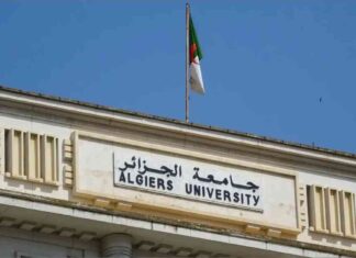 معدلات القبول 2025 في التعليم الوطني الجزائري 2025