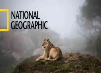 تردد قناة ناشيونال جيوغرافيك الجديد على نايل سات 2025 ومراقبة البرامج الثقافية 2025