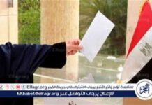 إقبال كبير من الجالية المصرية في أوروبا على انتخابات مجلس الشيوخ 2025 2025