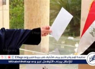 إقبال كبير من الجالية المصرية في أوروبا على انتخابات مجلس الشيوخ 2025 2025