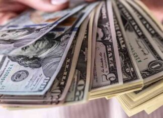 تحديث سعر الدولار اليوم – الأحد 24-8-2025 24-8-2025