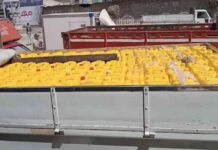 ضبط 4 أطنان زيوت طعام فاسدة في كفر الشيخ: تفاصيل القضية 4