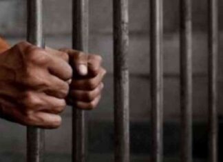 حبس 4 عاطلين بتهمة استغلال أطفال في التسول بالقاهرة والجيزة 4