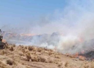 كيفية السيطرة على حريق محصول 600 فدان كتان في قرية شبرا ملس – اليوم السابع 600